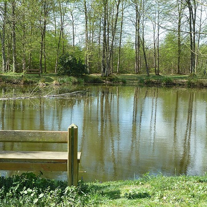 Photo de Obélisque dit Obélisque de Villeneuve-le-Comte, située dans la forêt de Crècy également sur communes de Villeneuve-le-Comte et Dammartin-sur-Tigeaux