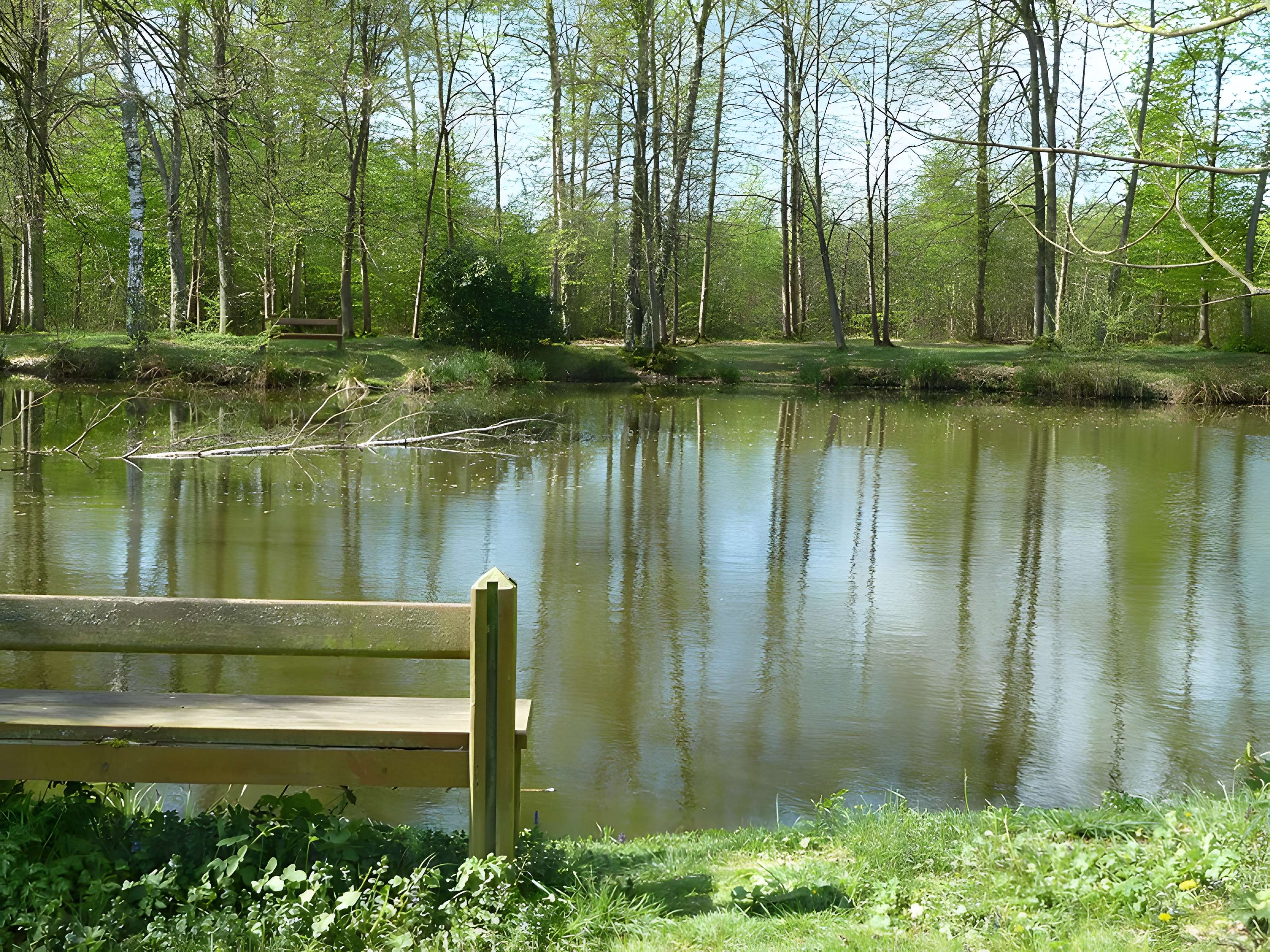 Obélisque de Villeneuve-le-Comte
