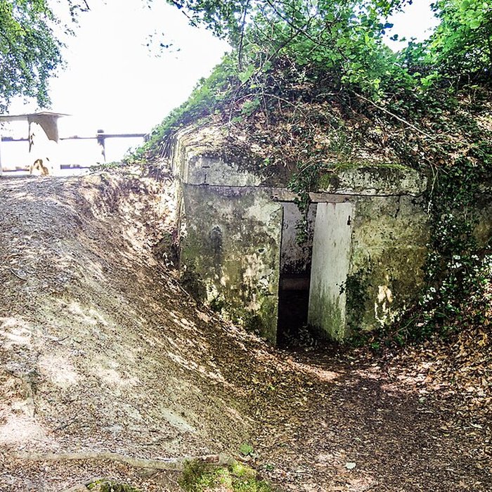 Photo de Observatoire du Mont Sinaï à Verzy