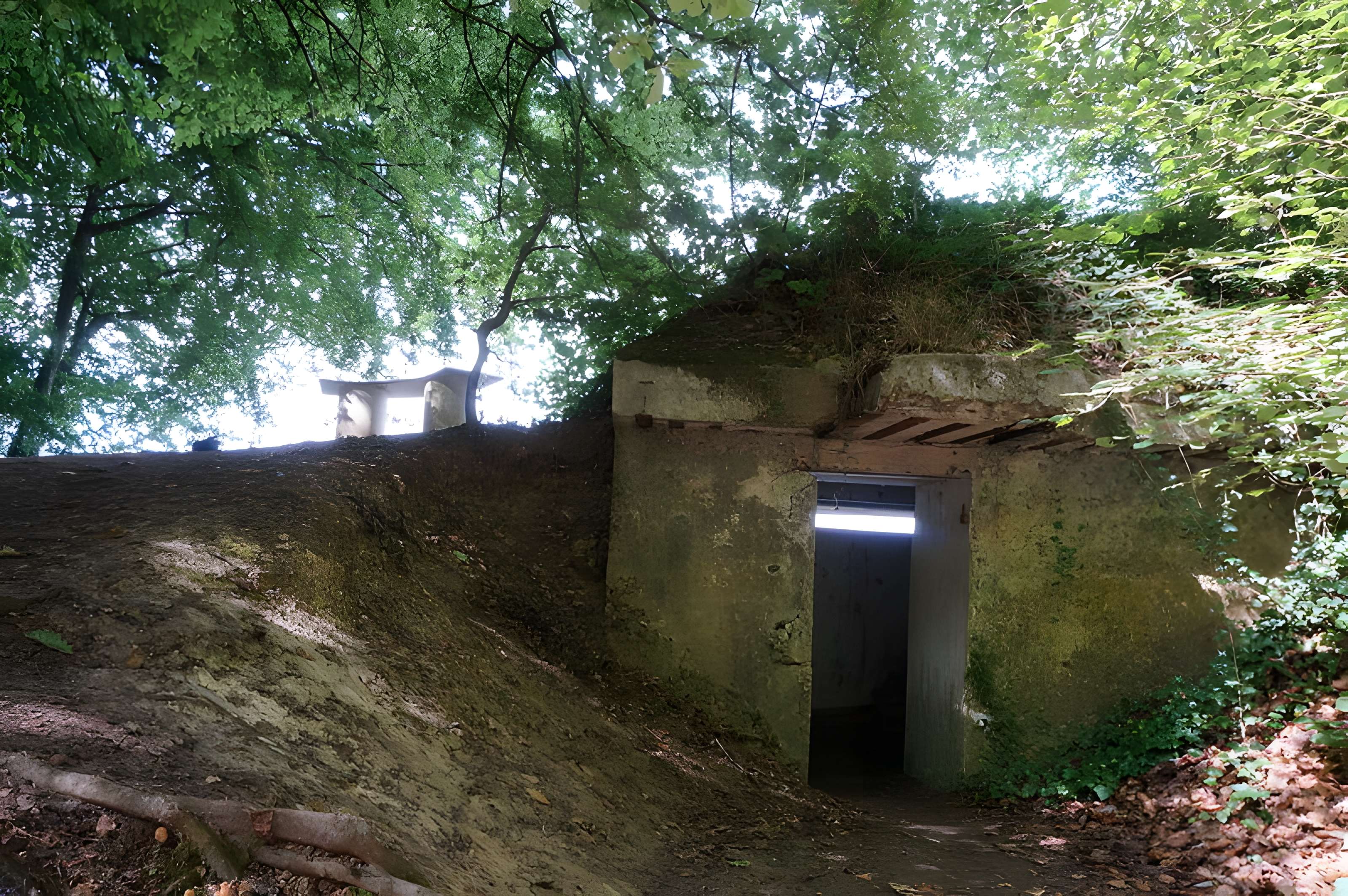 Observatoire du Mont Sinaï à Verzy