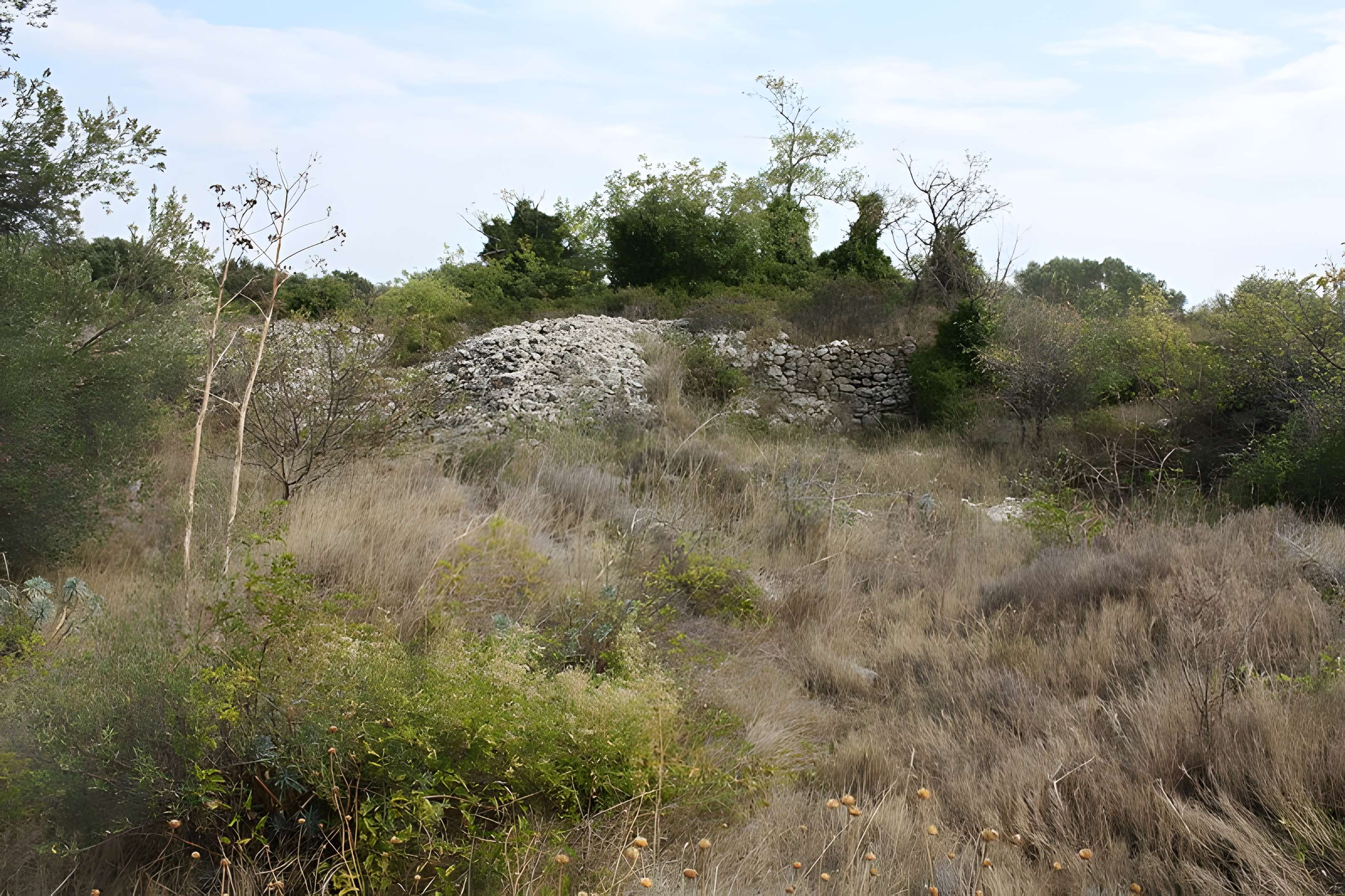 Oppidum de la Roque à Fabrègues 