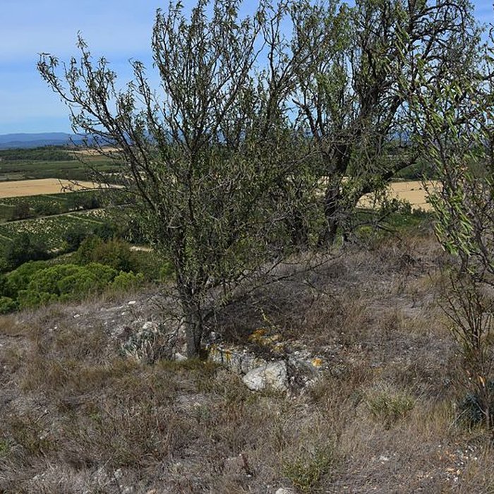 Photo de Oppidum de Montlaurès à Narbonne