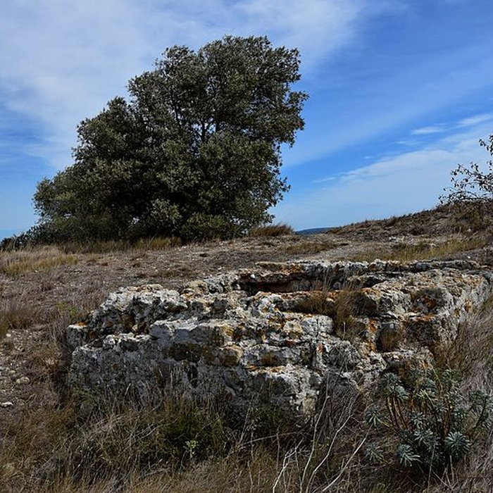 Photo de Oppidum de Montlaurès à Narbonne