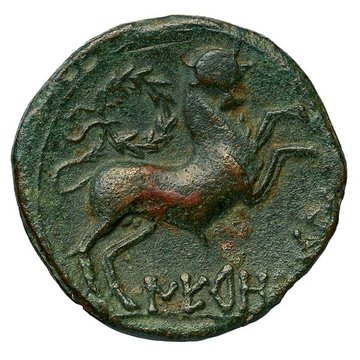 Oppidum de Montlaurès à Narbonne