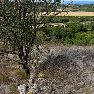 Oppidum de Montlaurès à Narbonne