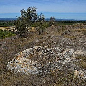 Oppidum de Montlaurès à Narbonne