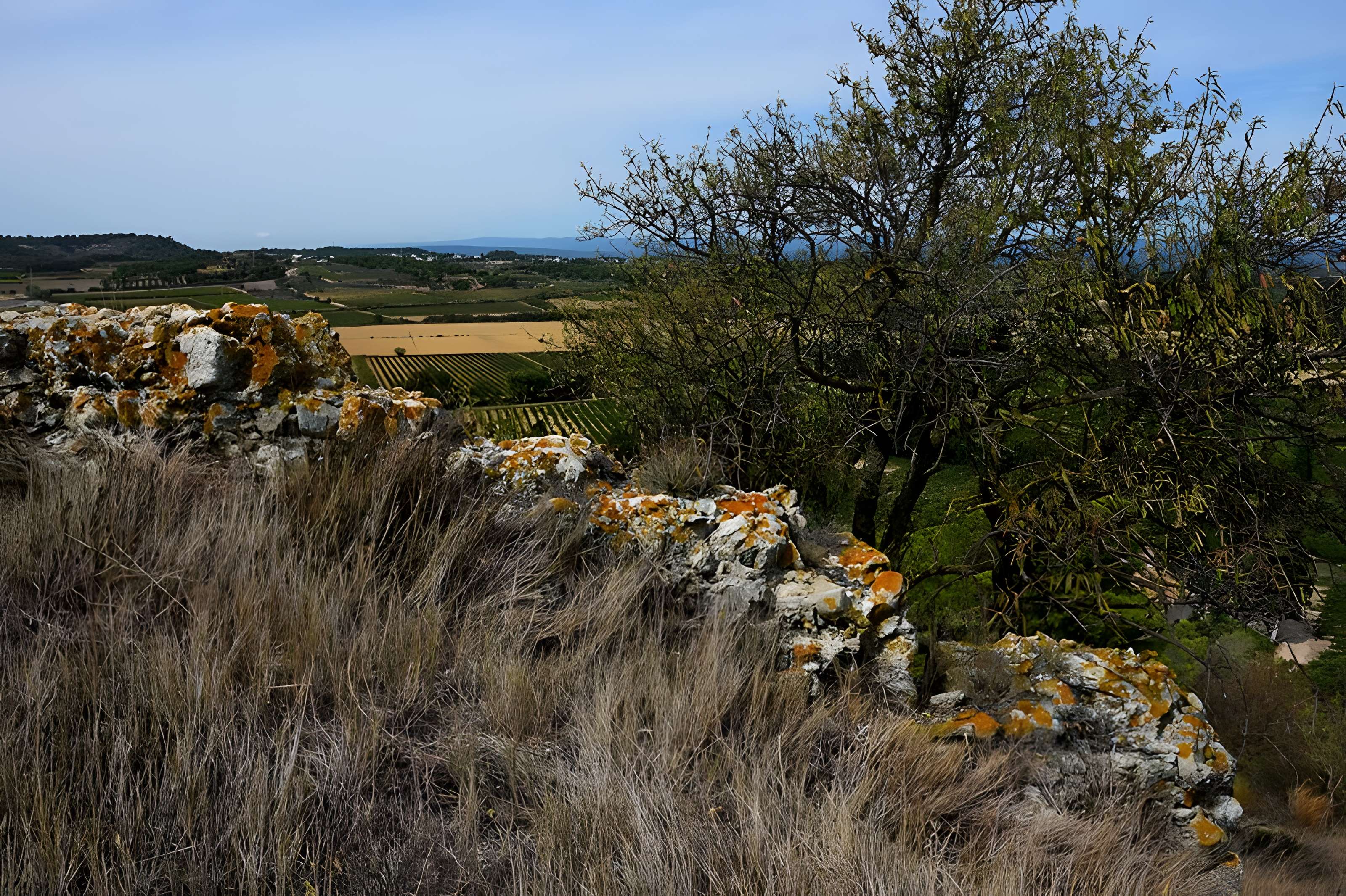 Oppidum de Montlaurès à Narbonne
