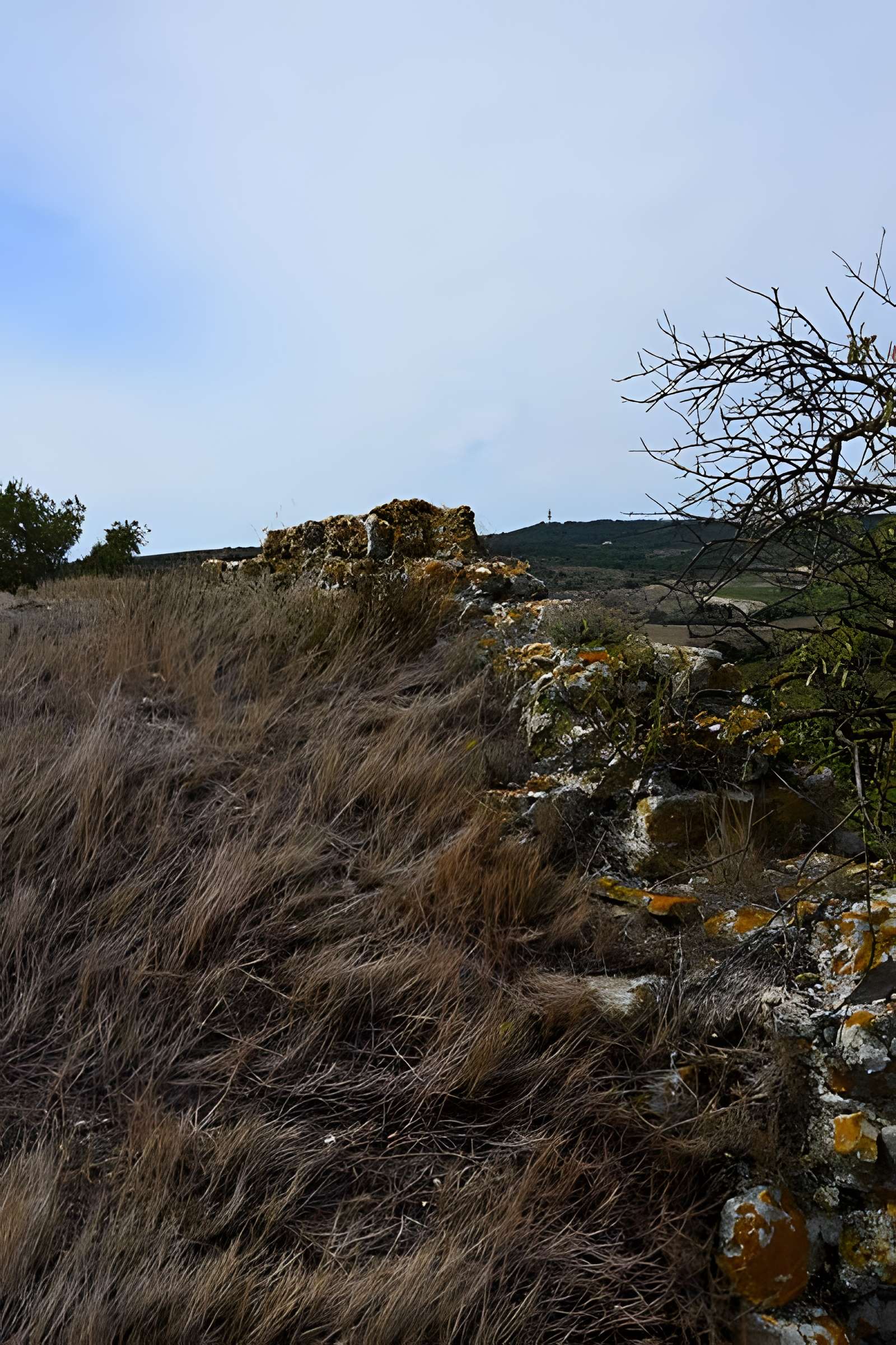Oppidum de Montlaurès à Narbonne