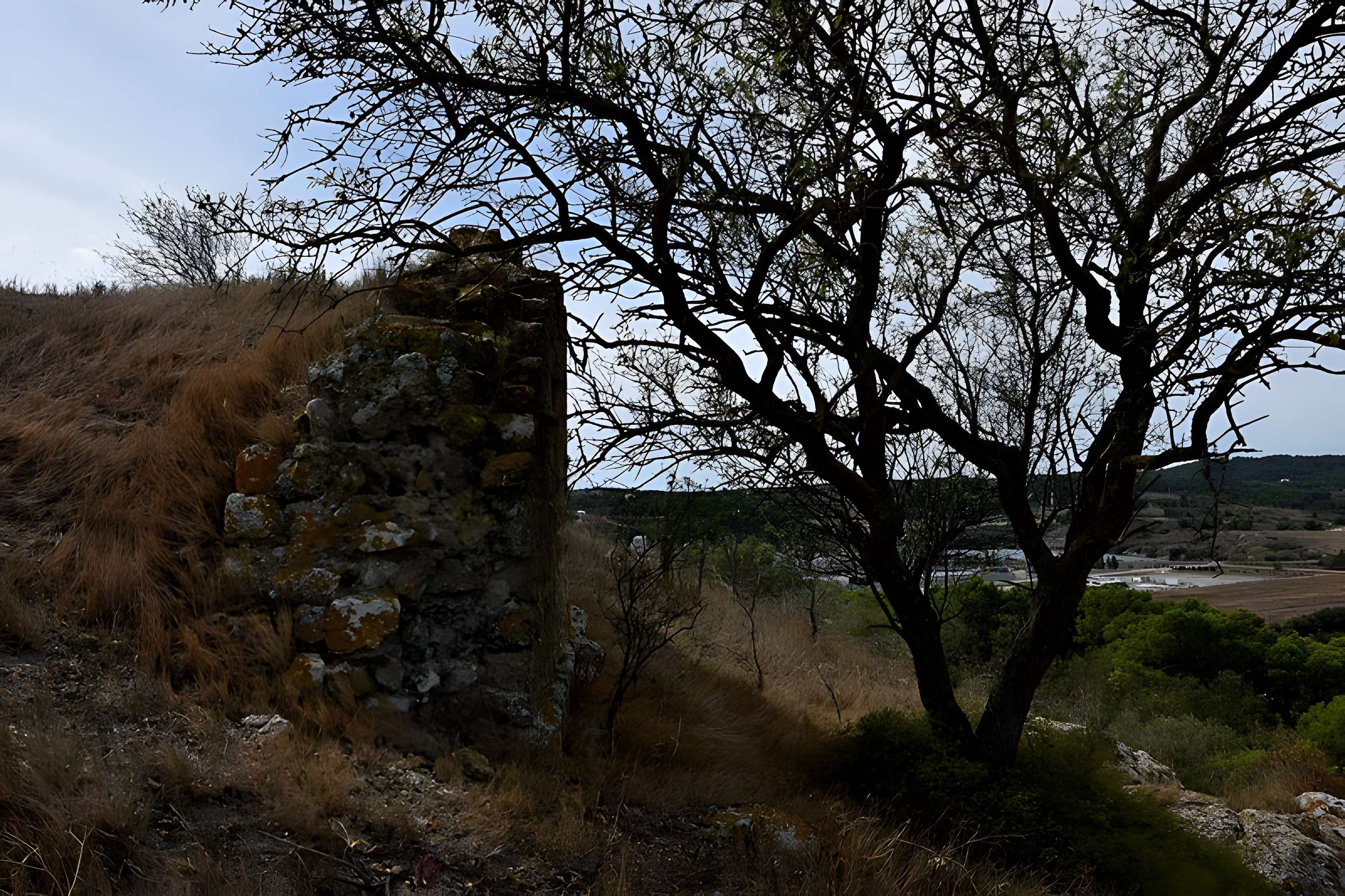 Oppidum de Montlaurès à Narbonne