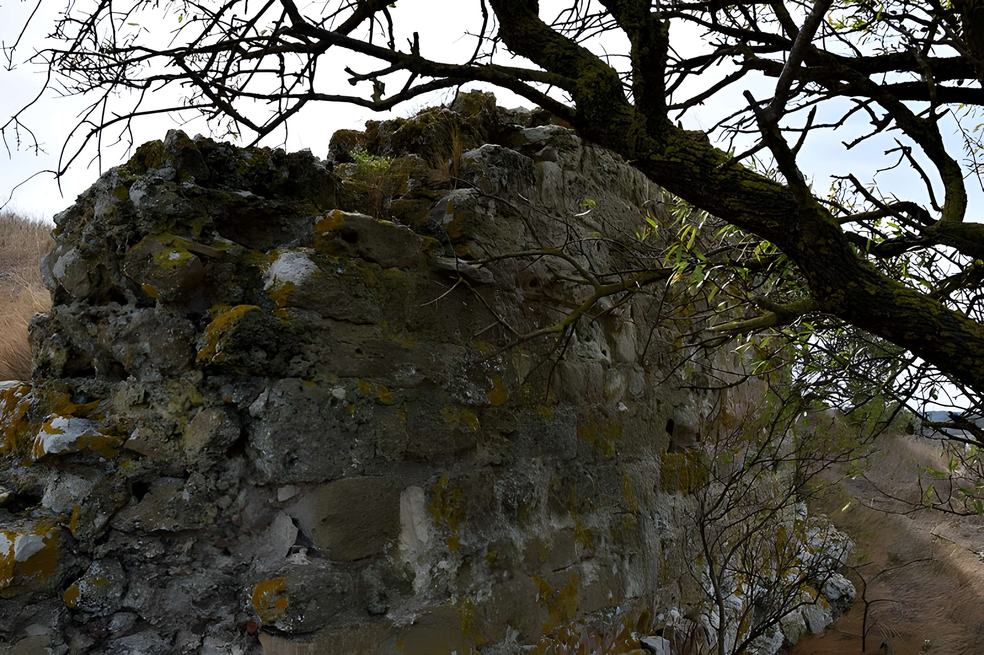 Oppidum de Montlaurès à Narbonne