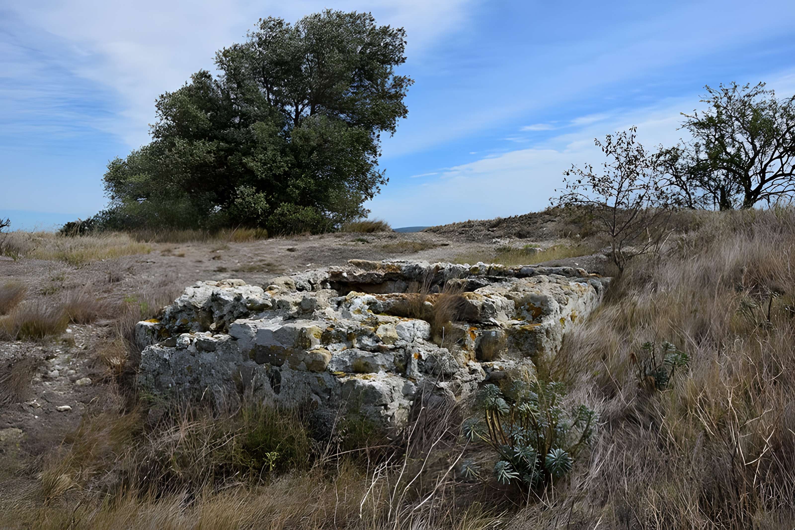 Oppidum de Montlaurès à Narbonne