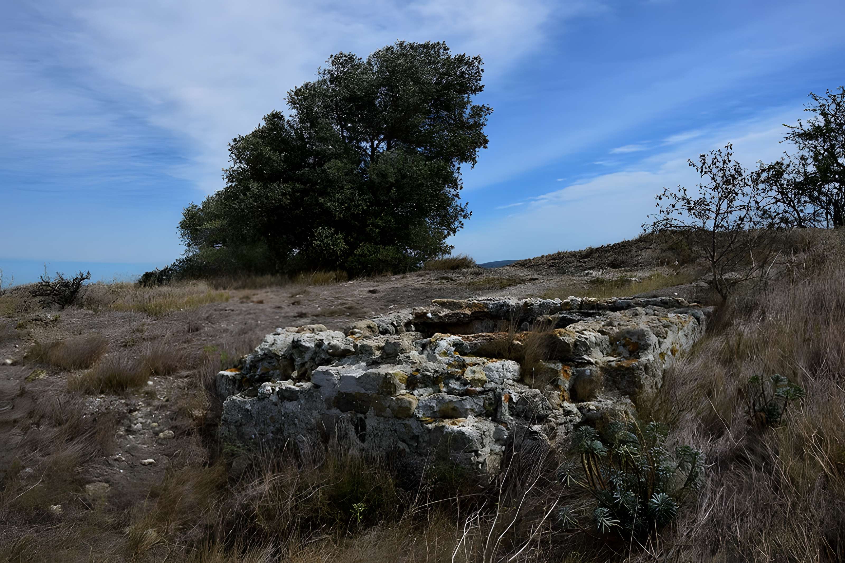 Oppidum de Montlaurès à Narbonne