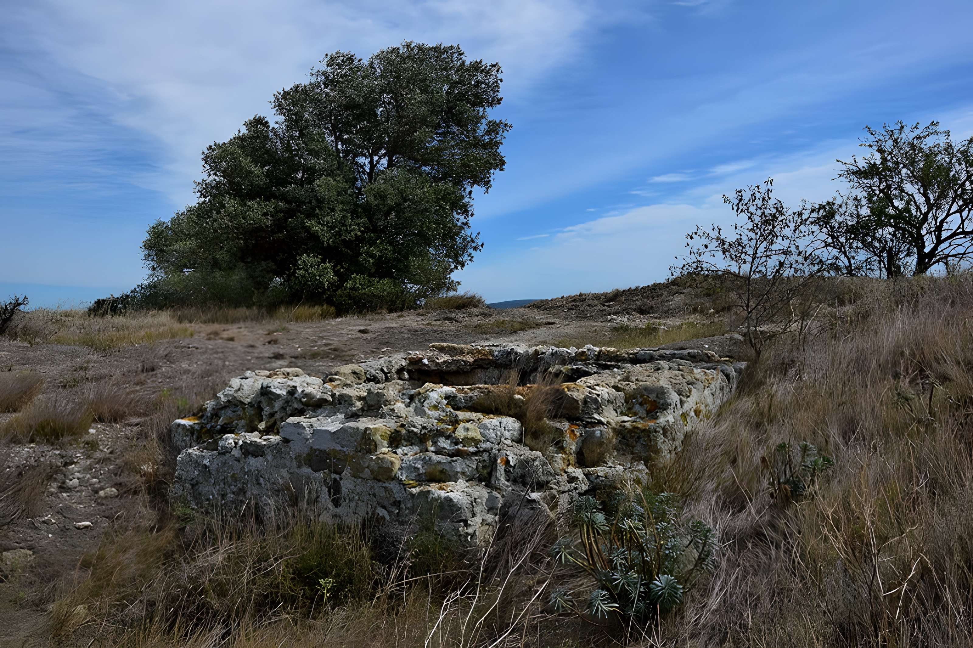 Oppidum de Montlaurès à Narbonne
