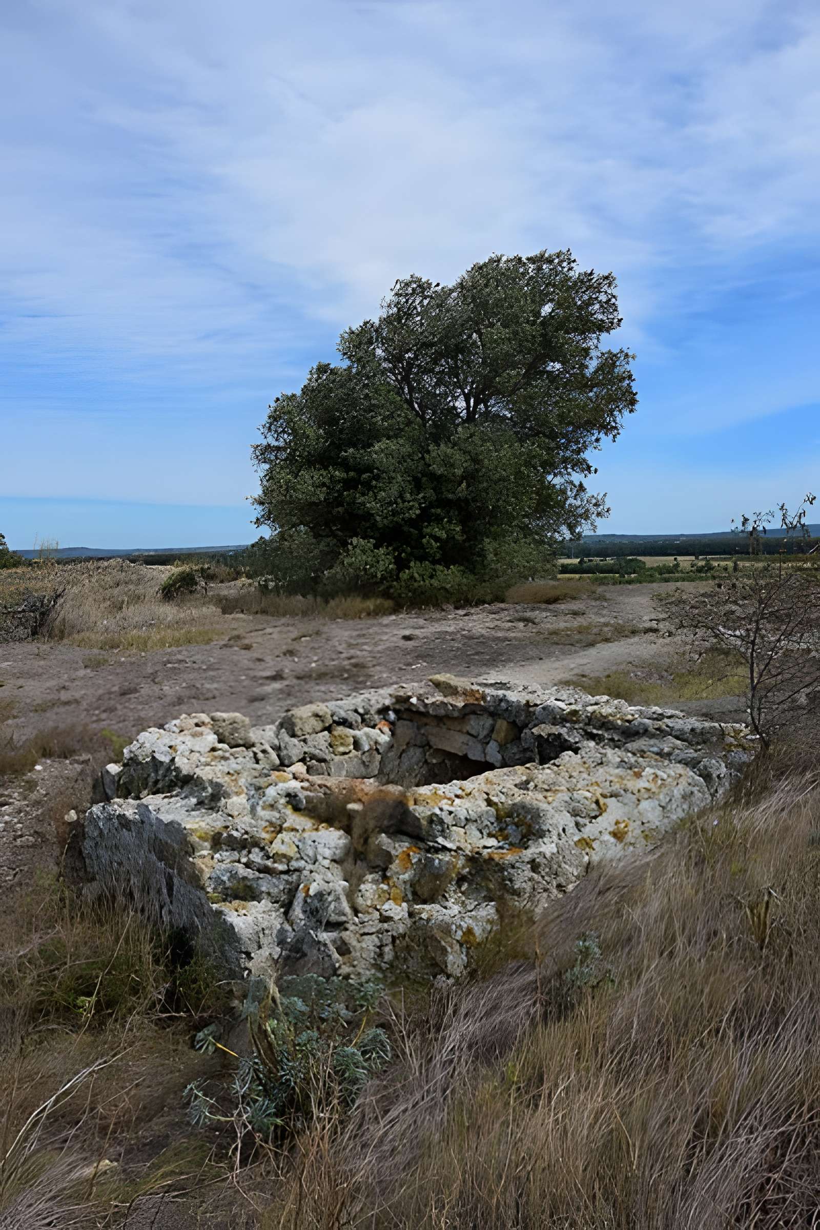 Oppidum de Montlaurès à Narbonne