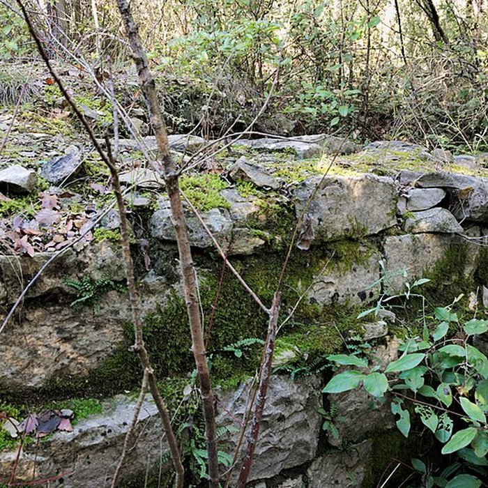 Photo de Oppidum préromain