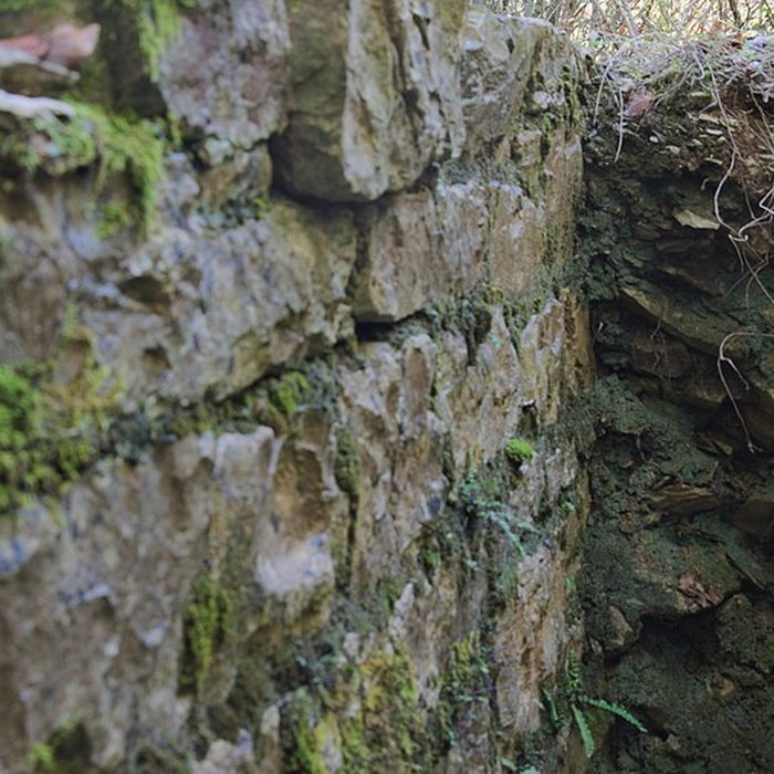 Photo de Oppidum préromain