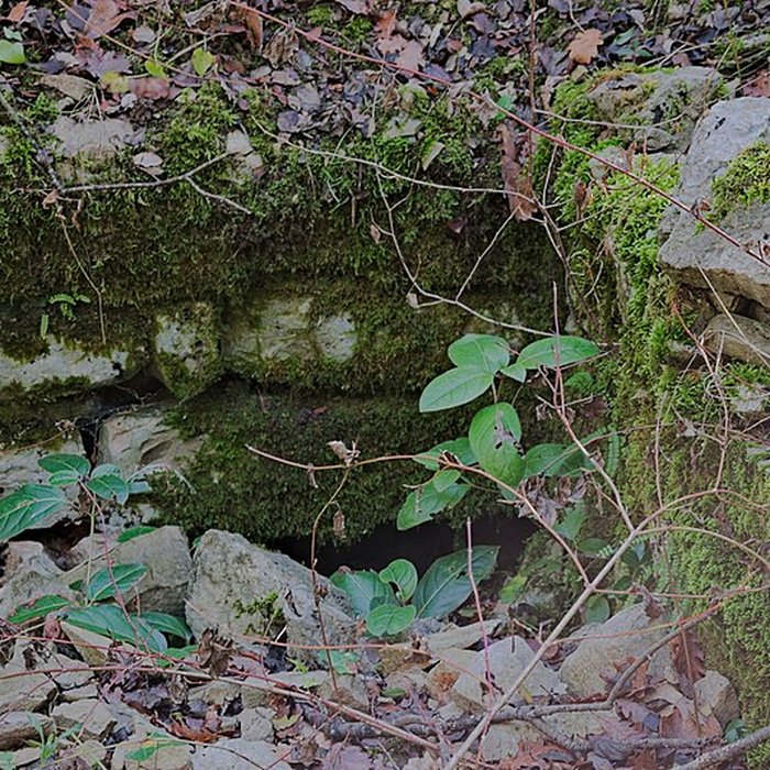 Photo de Oppidum préromain