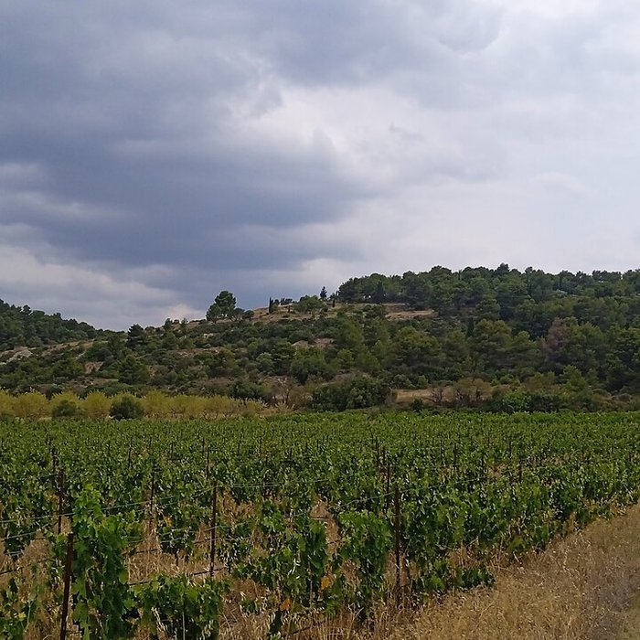 Photo de Vestiges de loppidum de Cayla