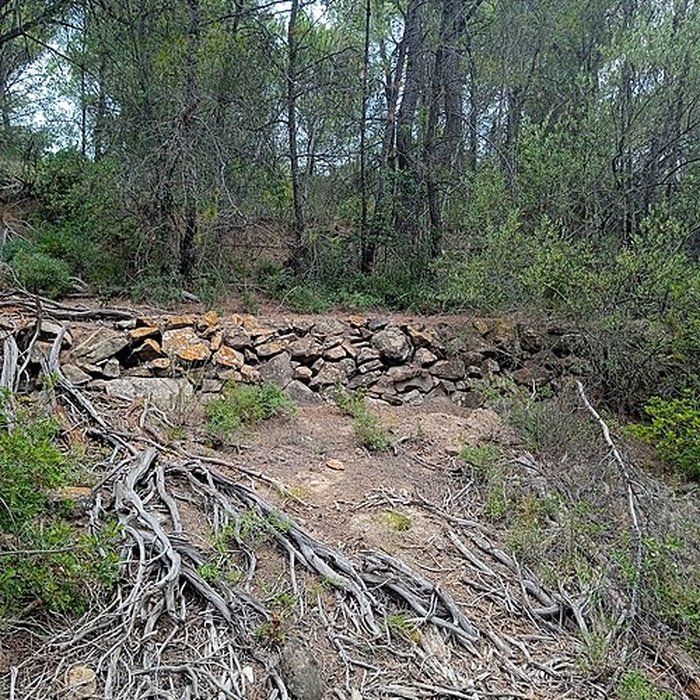 Photo de Vestiges de loppidum de Cayla