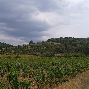 Vestiges de loppidum de Cayla