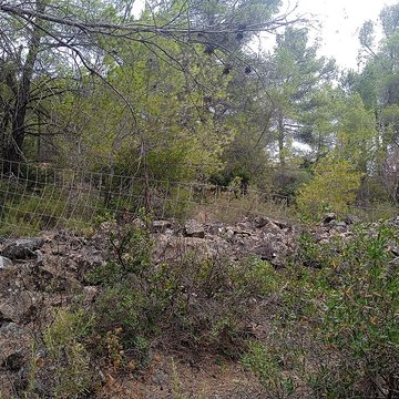 Vestiges de loppidum de Cayla