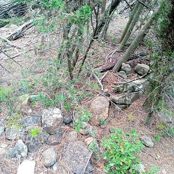 Vestiges de loppidum de Cayla