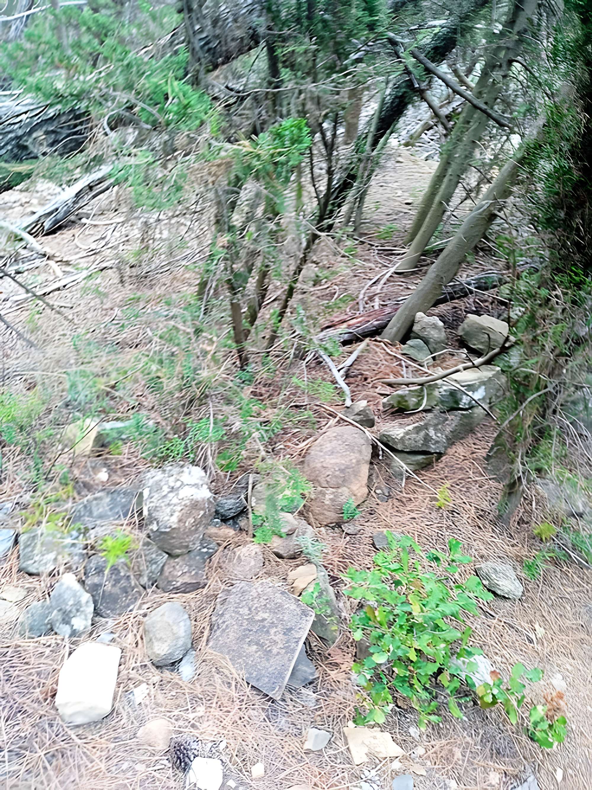 Vestiges de l'oppidum de Cayla