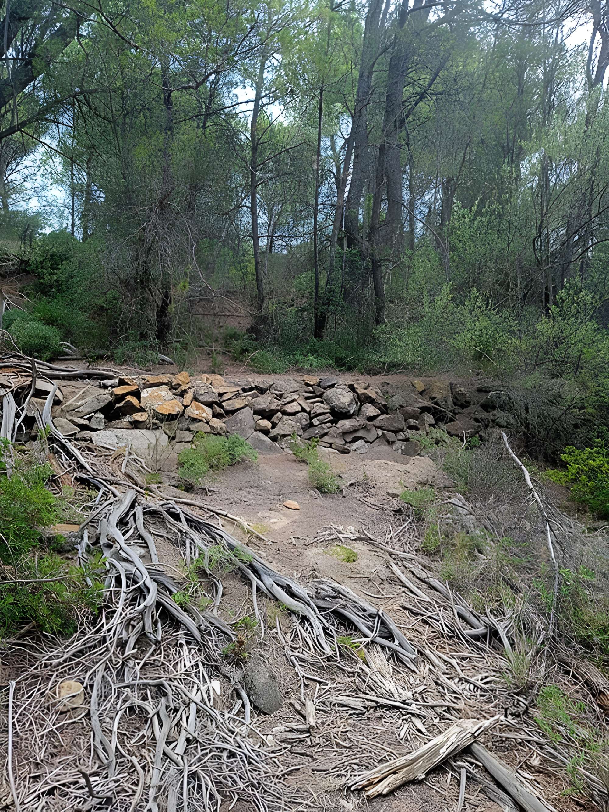 Vestiges de l'oppidum de Cayla
