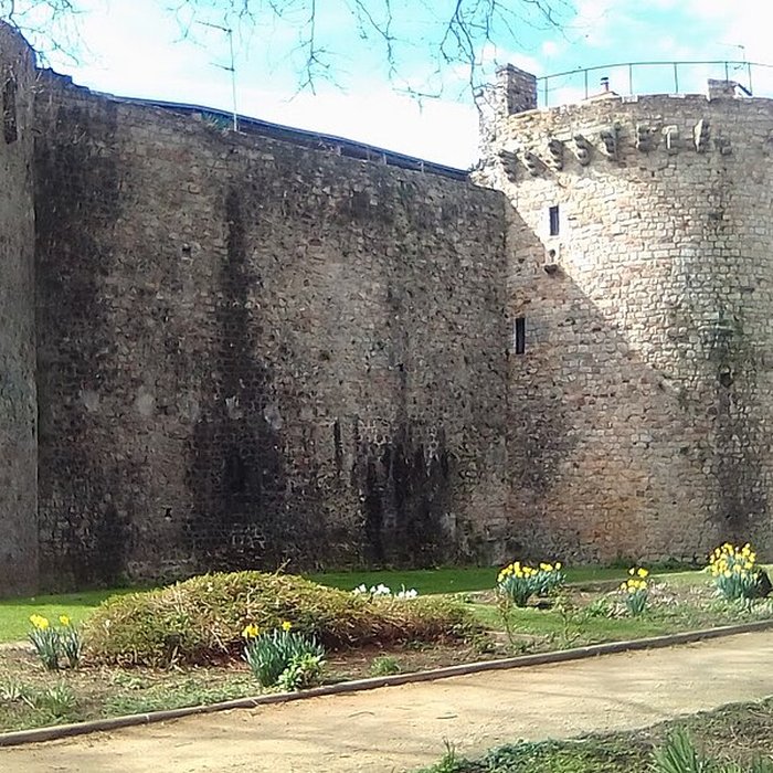 Photo de Château des Comtes du Maine