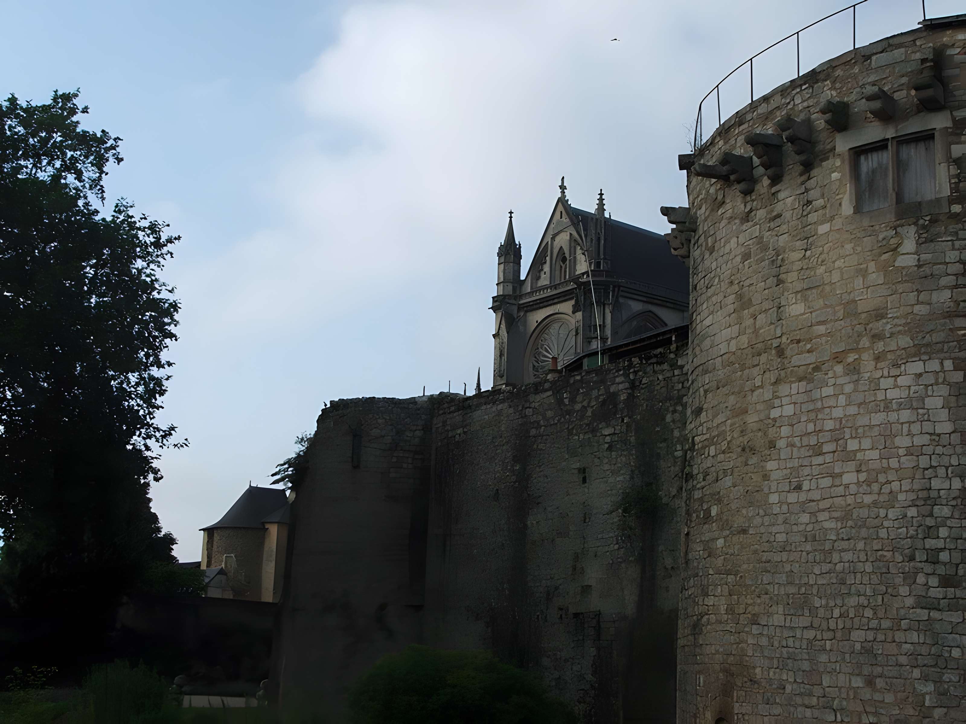 Château des Comtes du Maine