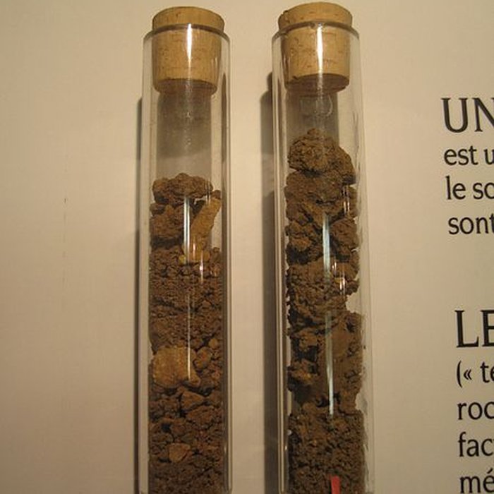 Photo de Hôtel des ducs de Bourgogne à Beaune