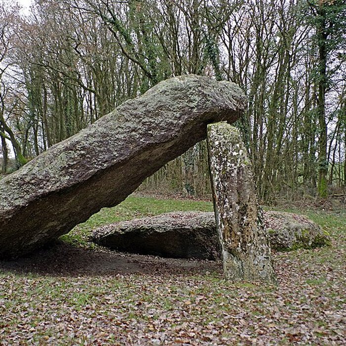 Photo de Dolmen dit Les Palets-de-Gargantua à Charnizay