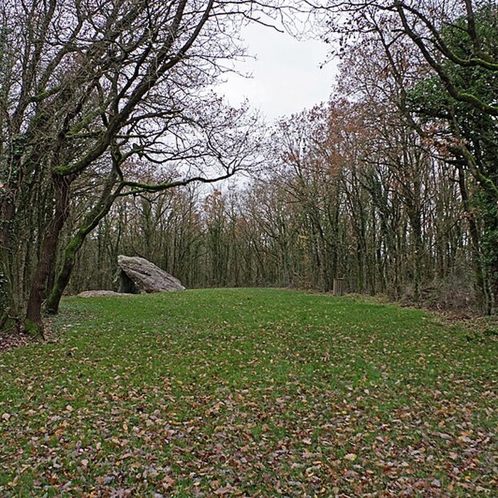 Photo de Dolmen dit Les Palets-de-Gargantua à Charnizay