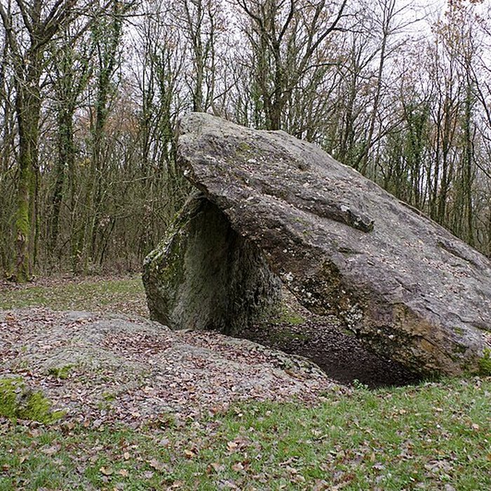 Photo de Dolmen dit Les Palets-de-Gargantua à Charnizay