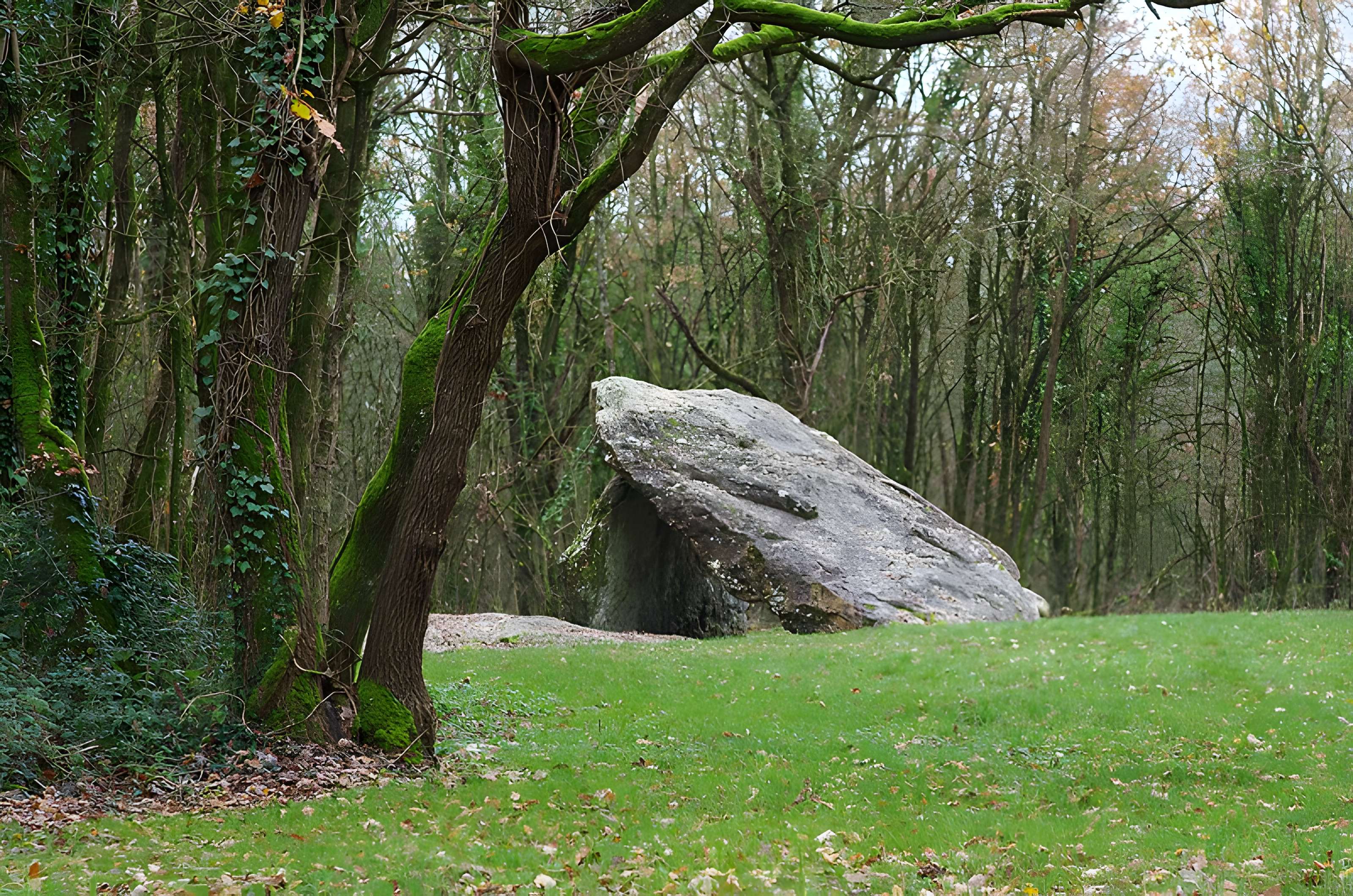 Dolmen dit Les Palets-de-Gargantua à Charnizay