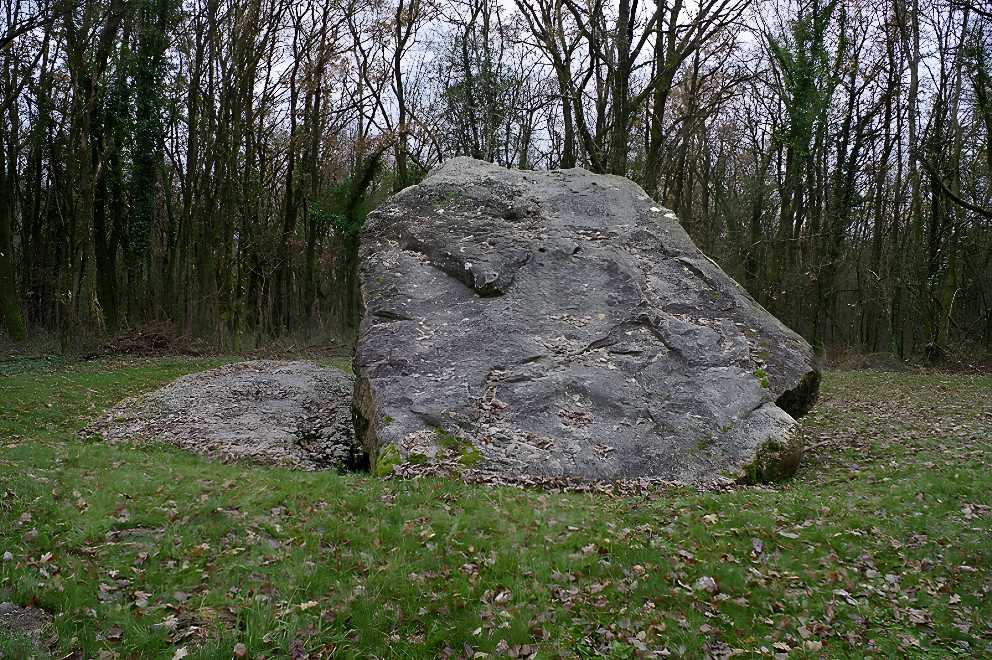 Dolmen dit Les Palets-de-Gargantua à Charnizay
