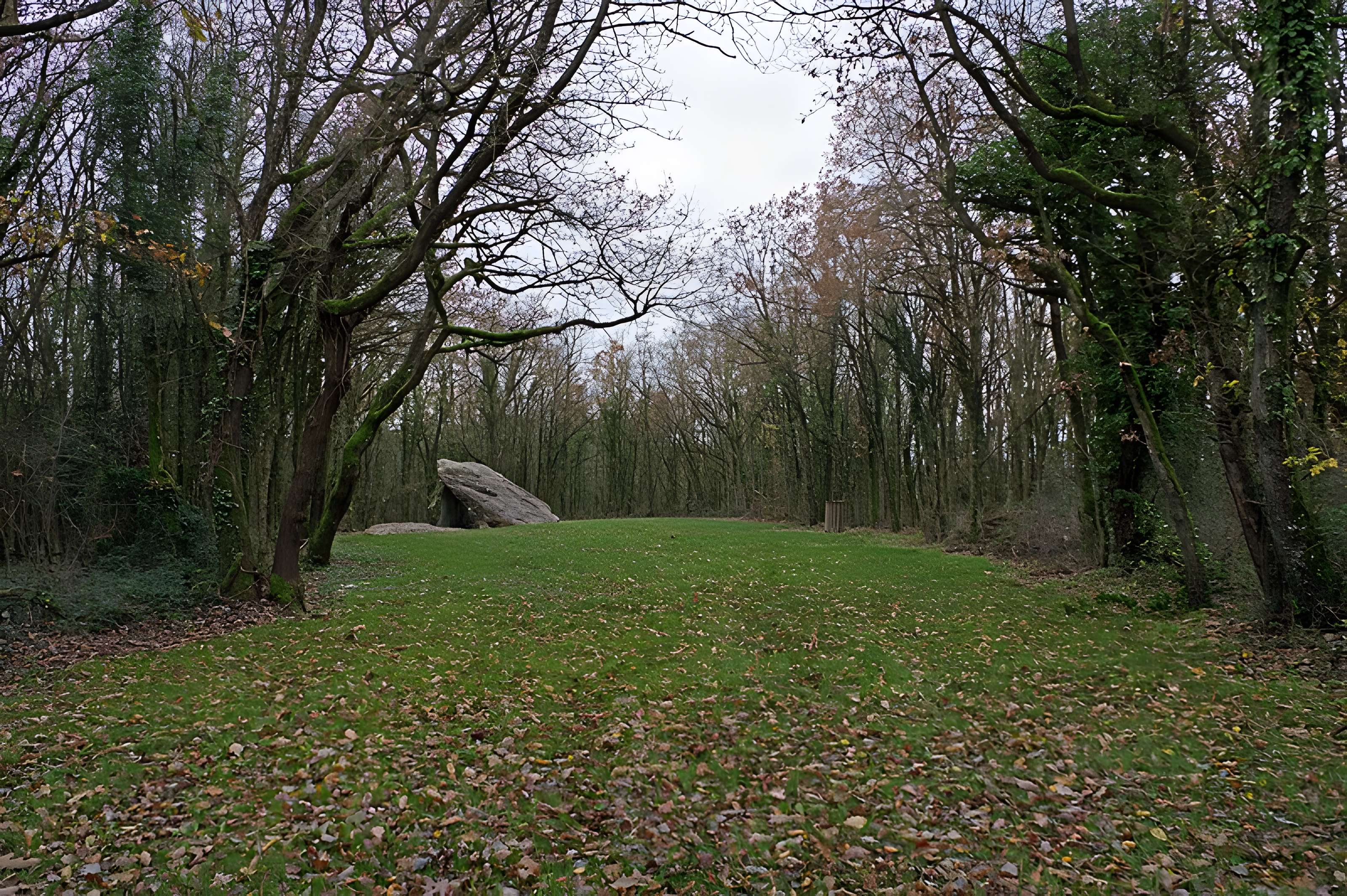 Dolmen dit Les Palets-de-Gargantua à Charnizay