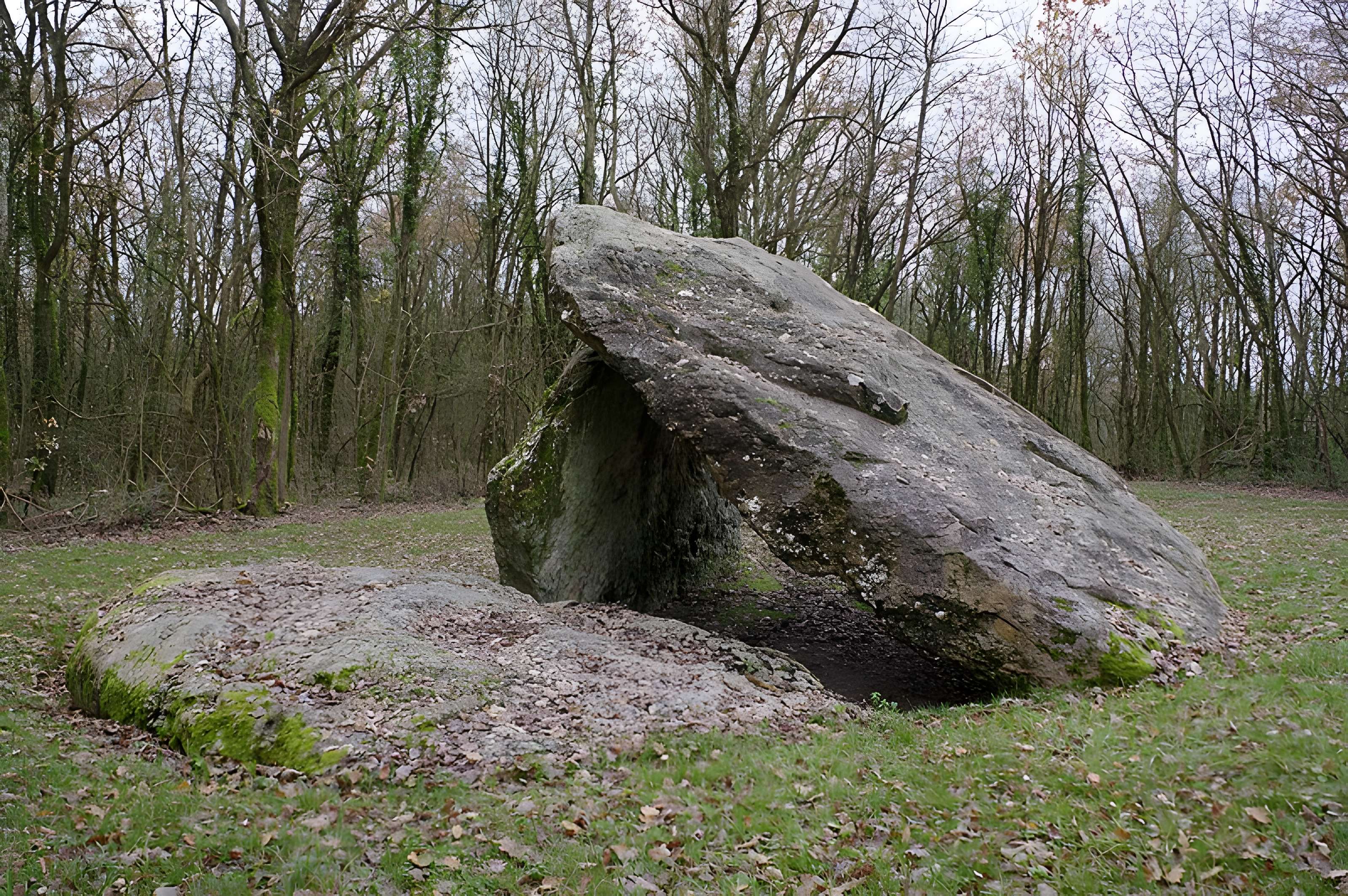 Dolmen dit Les Palets-de-Gargantua à Charnizay