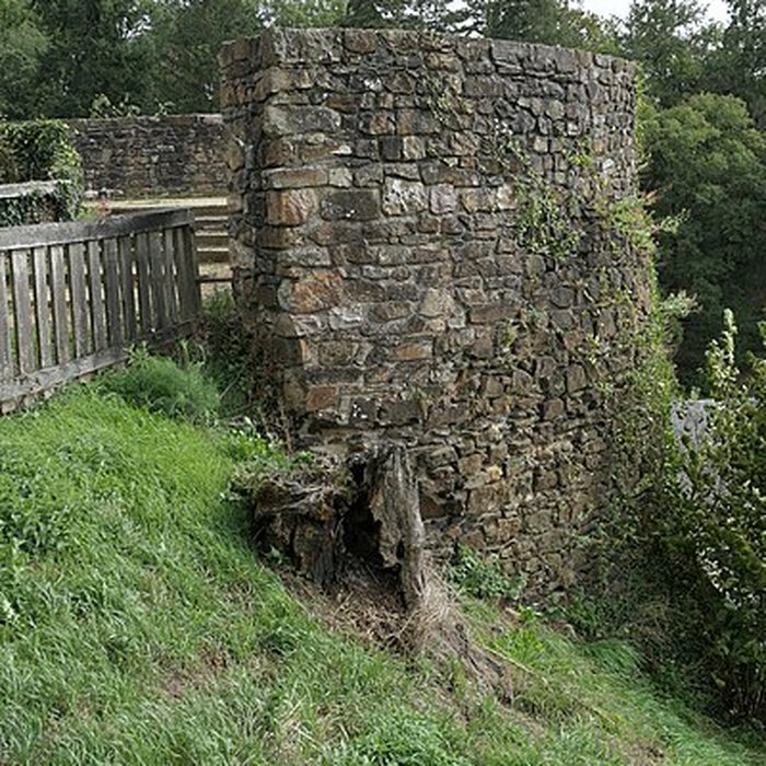 Photo de Paradis aux Biques de Montsûrs