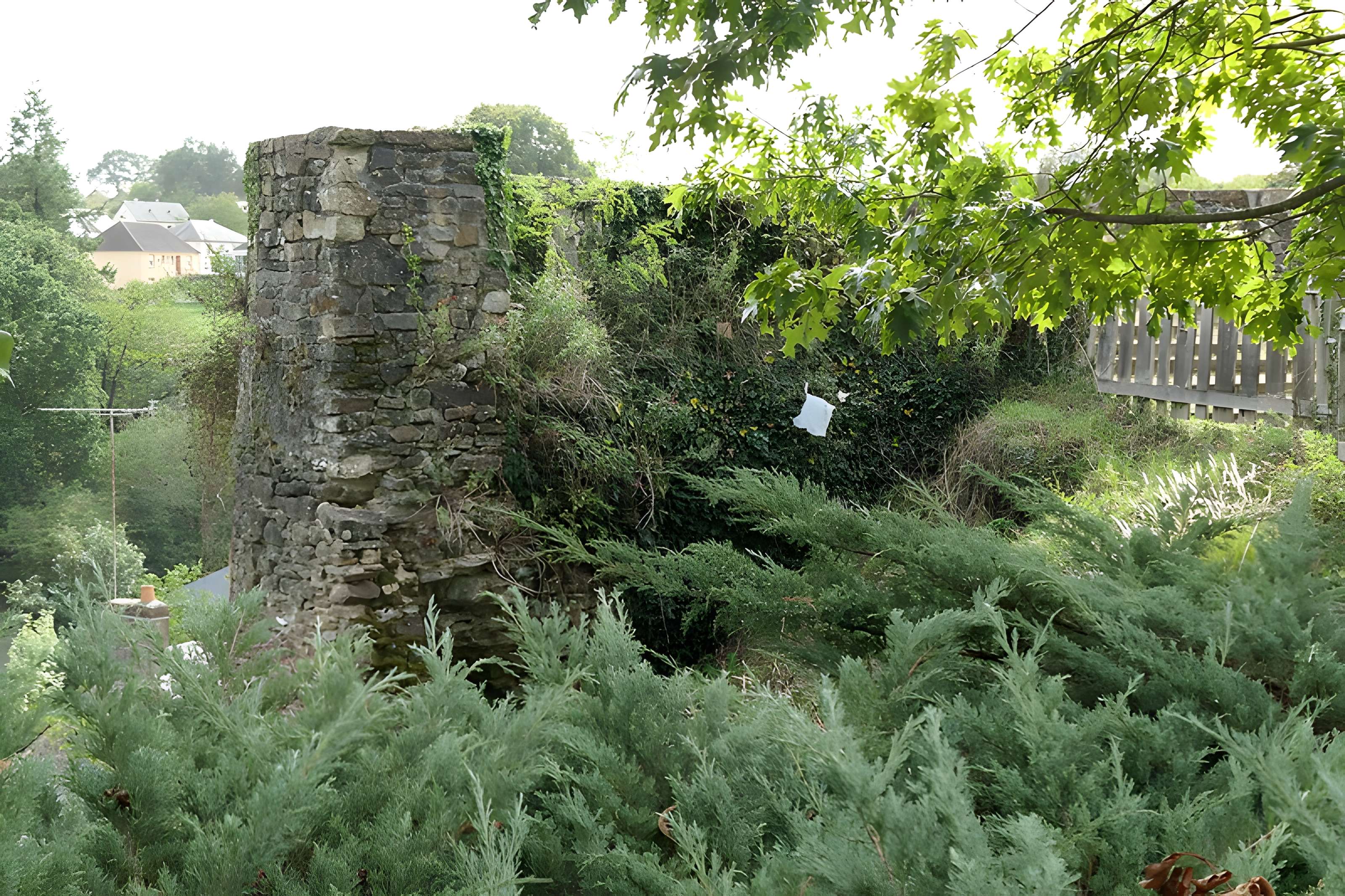 Paradis aux Biques de Montsûrs