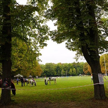 Parc de Champagne à Reims