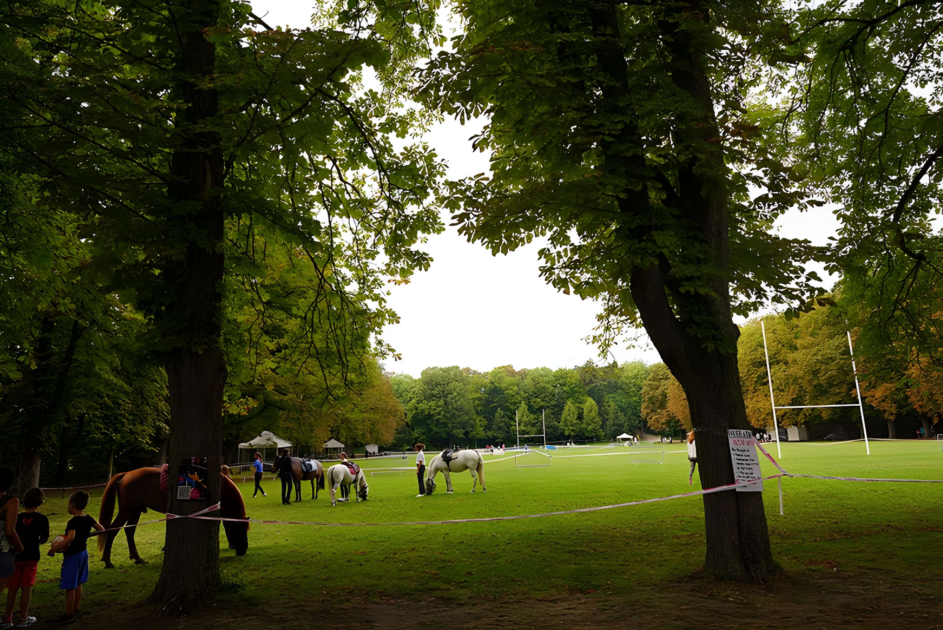 Parc de Champagne à Reims
