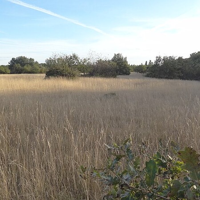 Photo de Parcelle contenant des tumuli et deux menhirs à Averdon
