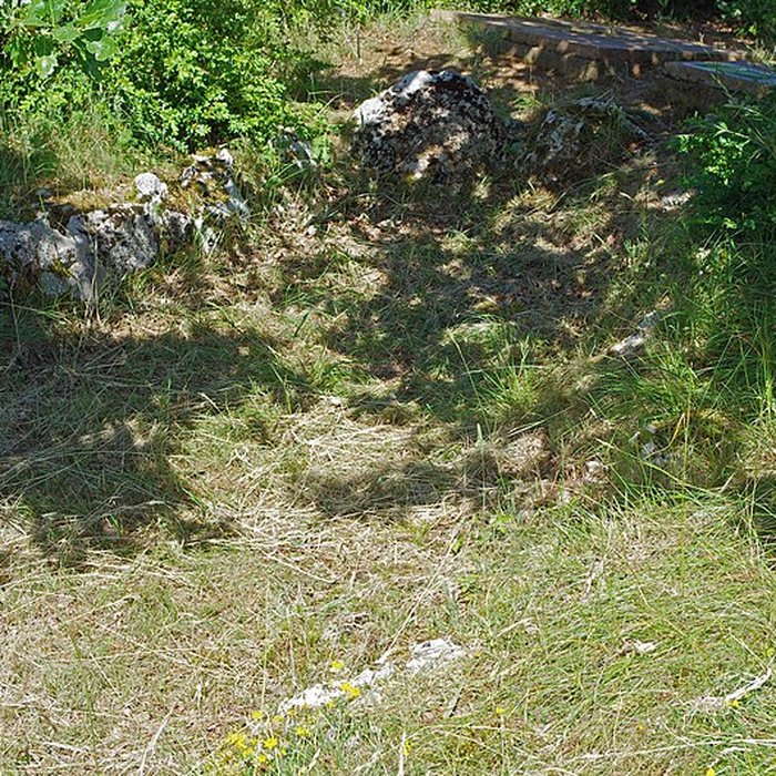 Photo de Parcelle contenant des tumuli et deux menhirs à Averdon