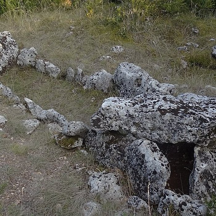 Photo de Parcelle contenant des tumuli et deux menhirs à Averdon