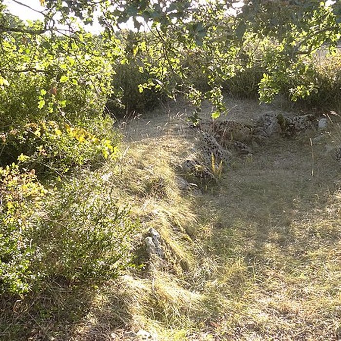 Photo de Parcelle contenant des tumuli et deux menhirs à Averdon
