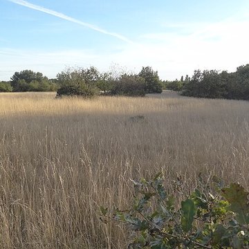 Parcelle contenant des tumuli et deux menhirs à Averdon