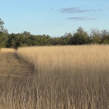 Parcelle contenant des tumuli et deux menhirs à Averdon