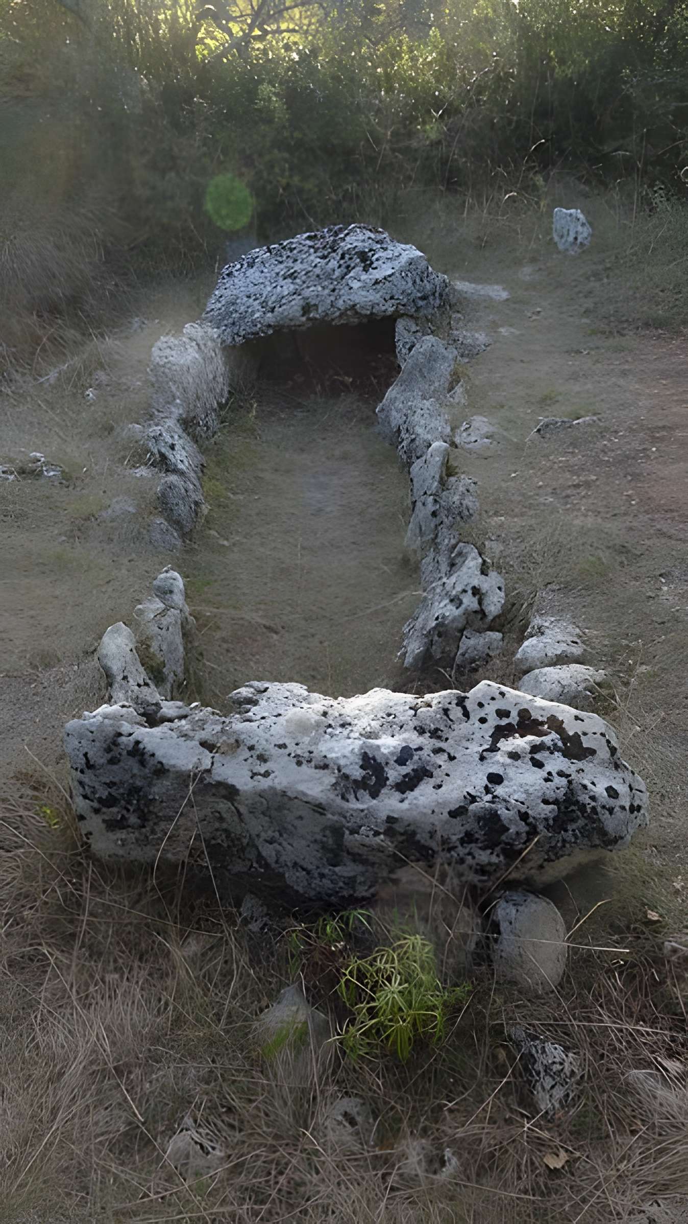 Parcelle contenant des tumuli et deux menhirs à Averdon 