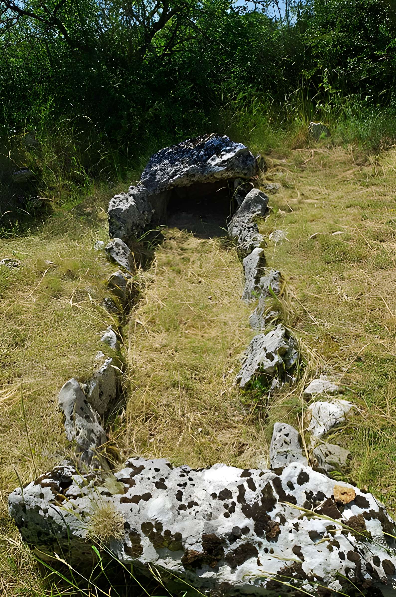 Parcelle contenant des tumuli et deux menhirs à Averdon